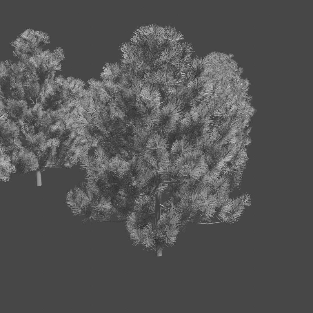 3D pine trees https://p.turbosquid.com/ts-thumb/hK/Gzg3OA/6KsQmEEO/untitled4/png/1583670470/1920x1080/fit_q87/865d365fa47dfe3b01831cdb77e96c0bc9477bc0/untitled4.jpg