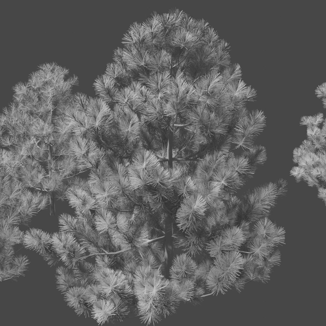 3D pine trees https://p.turbosquid.com/ts-thumb/hK/Gzg3OA/EgRiajhQ/untitled8/png/1583670470/1920x1080/fit_q87/94f37a011d8ed2e0953966e0e0683489d09911ad/untitled8.jpg