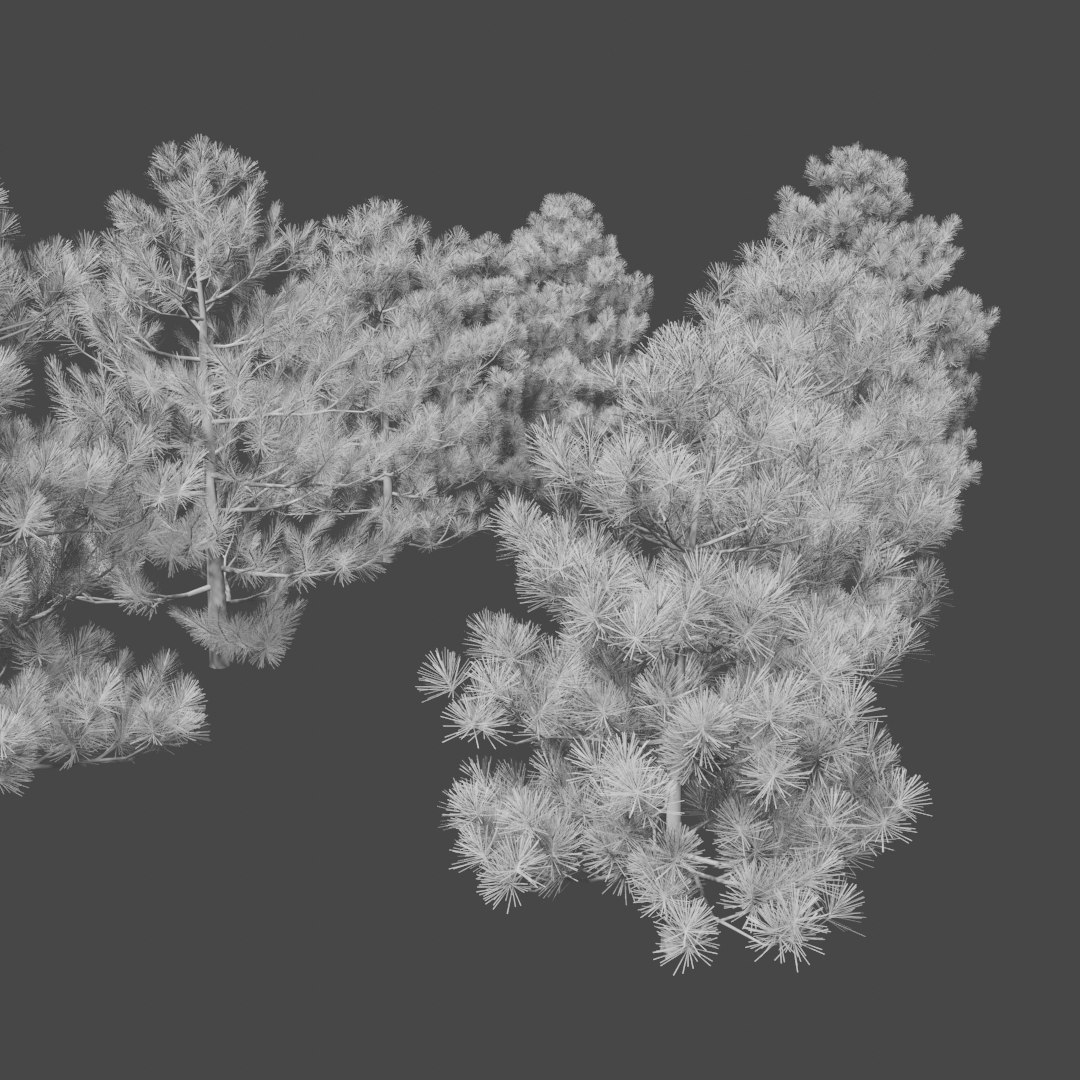 3D pine trees https://p.turbosquid.com/ts-thumb/hK/Gzg3OA/H3QWdqqU/untitled5/png/1583670470/1920x1080/fit_q87/7b31bf14ff9b85fede25f6c5d2a779449fec79c7/untitled5.jpg