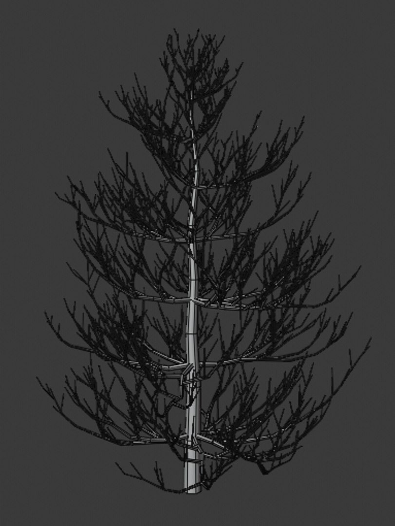 3D pine trees https://p.turbosquid.com/ts-thumb/hK/Gzg3OA/SSVBvO58/5/png/1598189895/1920x1080/fit_q87/9fb72bee7e4203dd369d147350c2be80fbad1a09/5.jpg