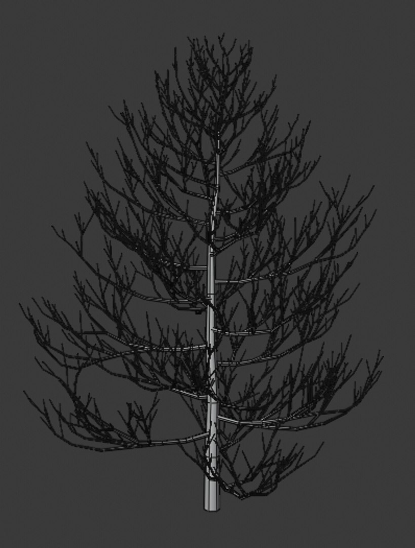 3D pine trees https://p.turbosquid.com/ts-thumb/hK/Gzg3OA/TqsZ8LkB/3/png/1598189895/1920x1080/fit_q87/9b71cf0f165e2d6e659b4a3ef1249cbb09c9b83f/3.jpg
