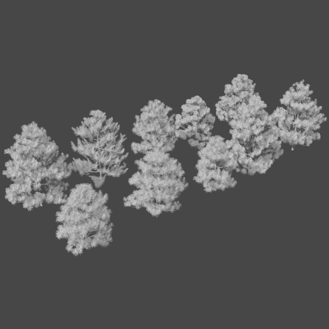 3D pine trees https://p.turbosquid.com/ts-thumb/hK/Gzg3OA/ZRhmFY1X/untitled/png/1583670470/1920x1080/fit_q87/054bfeaf9b1f16e33fee3aaca1e05682e84d524b/untitled.jpg