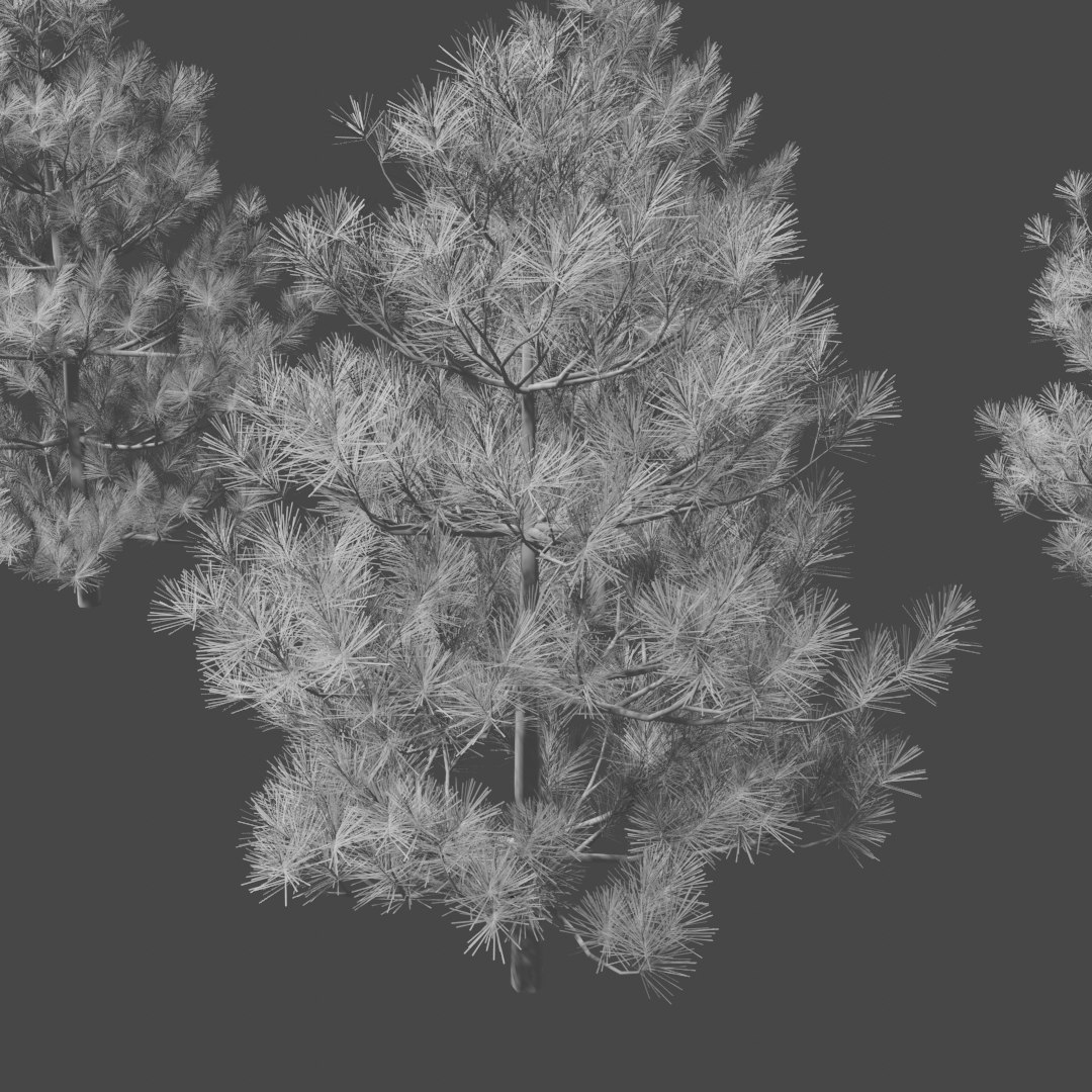 3D pine trees https://p.turbosquid.com/ts-thumb/hK/Gzg3OA/ejorfB6P/untitled7/png/1583670470/1920x1080/fit_q87/0a893f4218a7f80555c04a09b124003c010691d1/untitled7.jpg