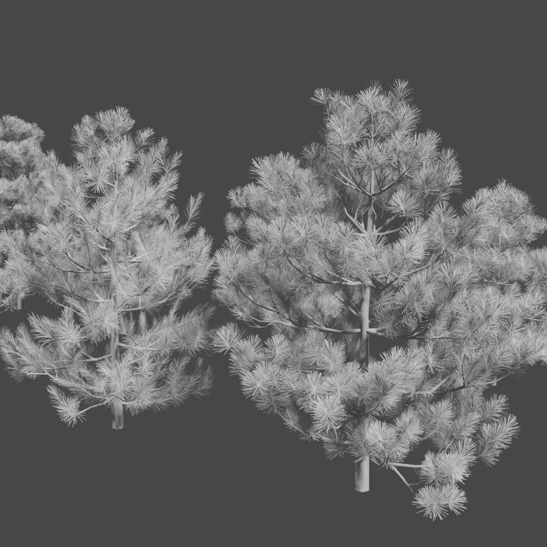 3D pine trees https://p.turbosquid.com/ts-thumb/hK/Gzg3OA/gF18VEh7/untitled6/png/1583670470/1920x1080/fit_q87/ed0d7cb5c8ca4627689ed99b8124fbf0f5fcbd70/untitled6.jpg