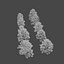 Pine asset