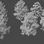 Pine asset