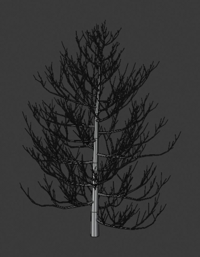 3D pine trees https://p.turbosquid.com/ts-thumb/hK/Gzg3OA/tVmp8Sk4/1/png/1598189895/1920x1080/fit_q87/79dea5bc2207d4ea87f3e8d3d4ec1ab85e07e539/1.jpg