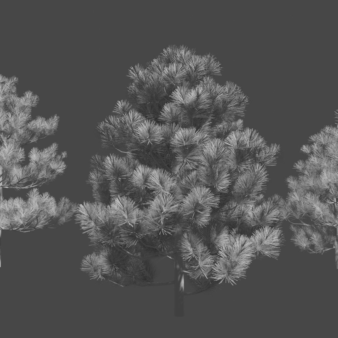 3D pine trees https://p.turbosquid.com/ts-thumb/hK/Gzg3OA/u05n5DvZ/untitled9/png/1583670470/1920x1080/fit_q87/07495fc47becd75f5219b0c6e5a6d9058546e1c7/untitled9.jpg