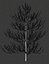 Pine asset