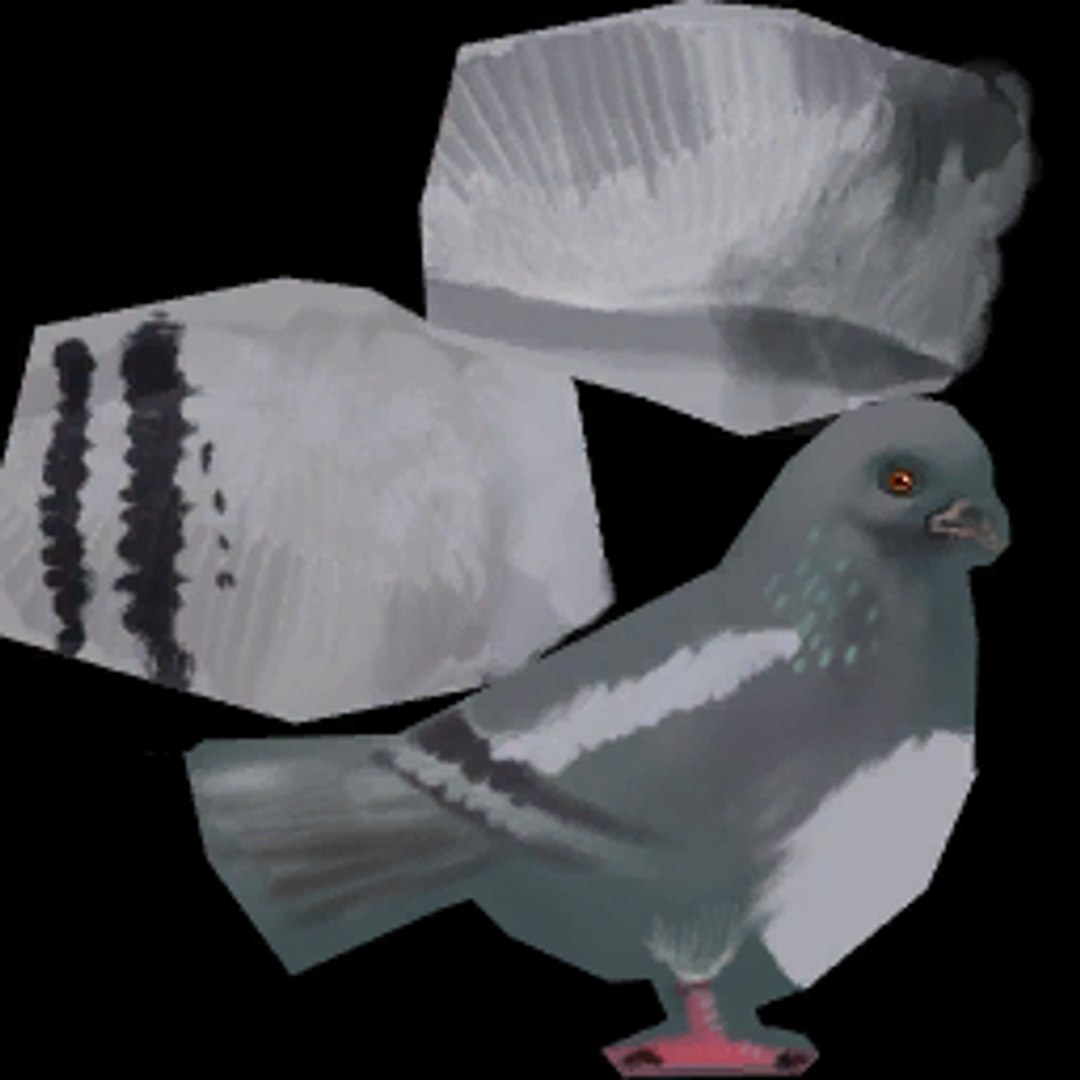 3d pigeon model https://p.turbosquid.com/ts-thumb/hK/IAdeiI/bVnn7Eka/pigtex/jpg/1441128022/1920x1080/fit_q87/85fd839bfdbf9c8f3cf35e8ef5101f37da5f63dc/pigtex.jpg