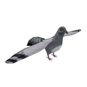 Lowpoly Pigeon
