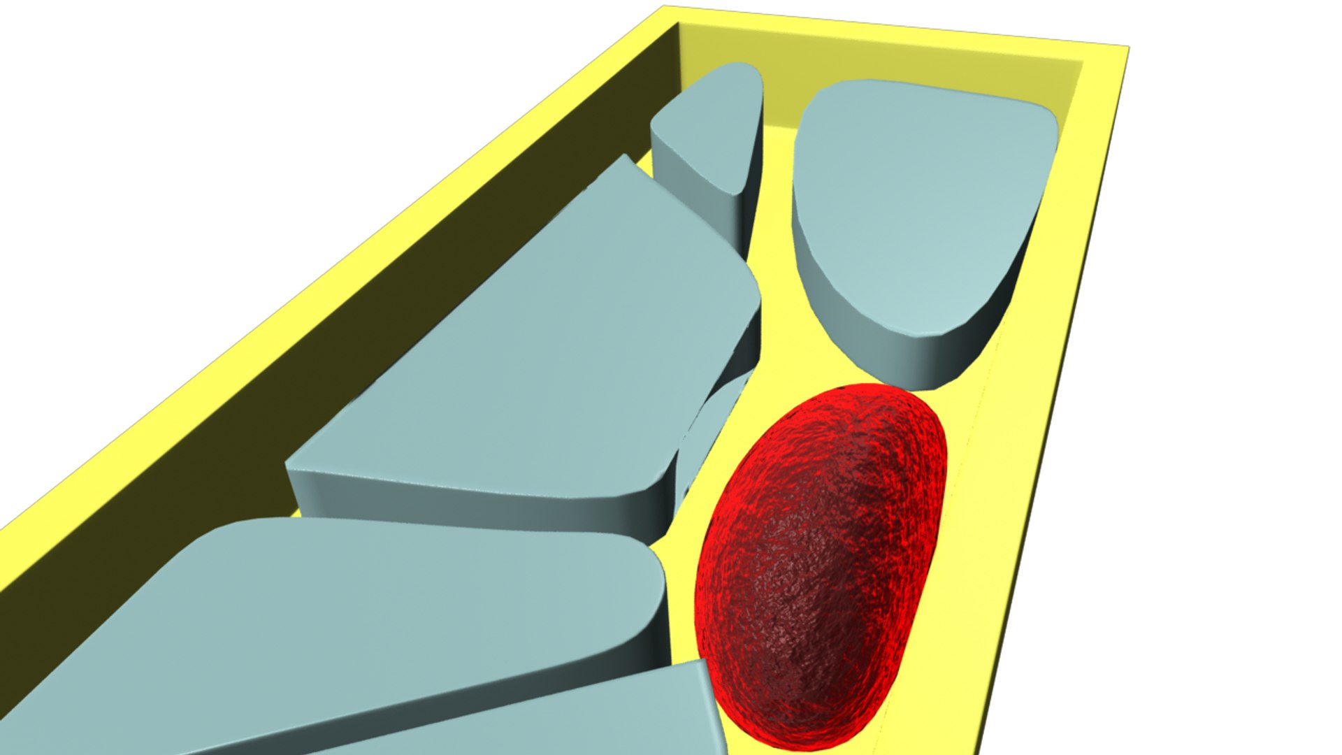 Maya Cell Enlargement