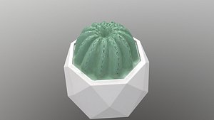 Pot Holder 3D model