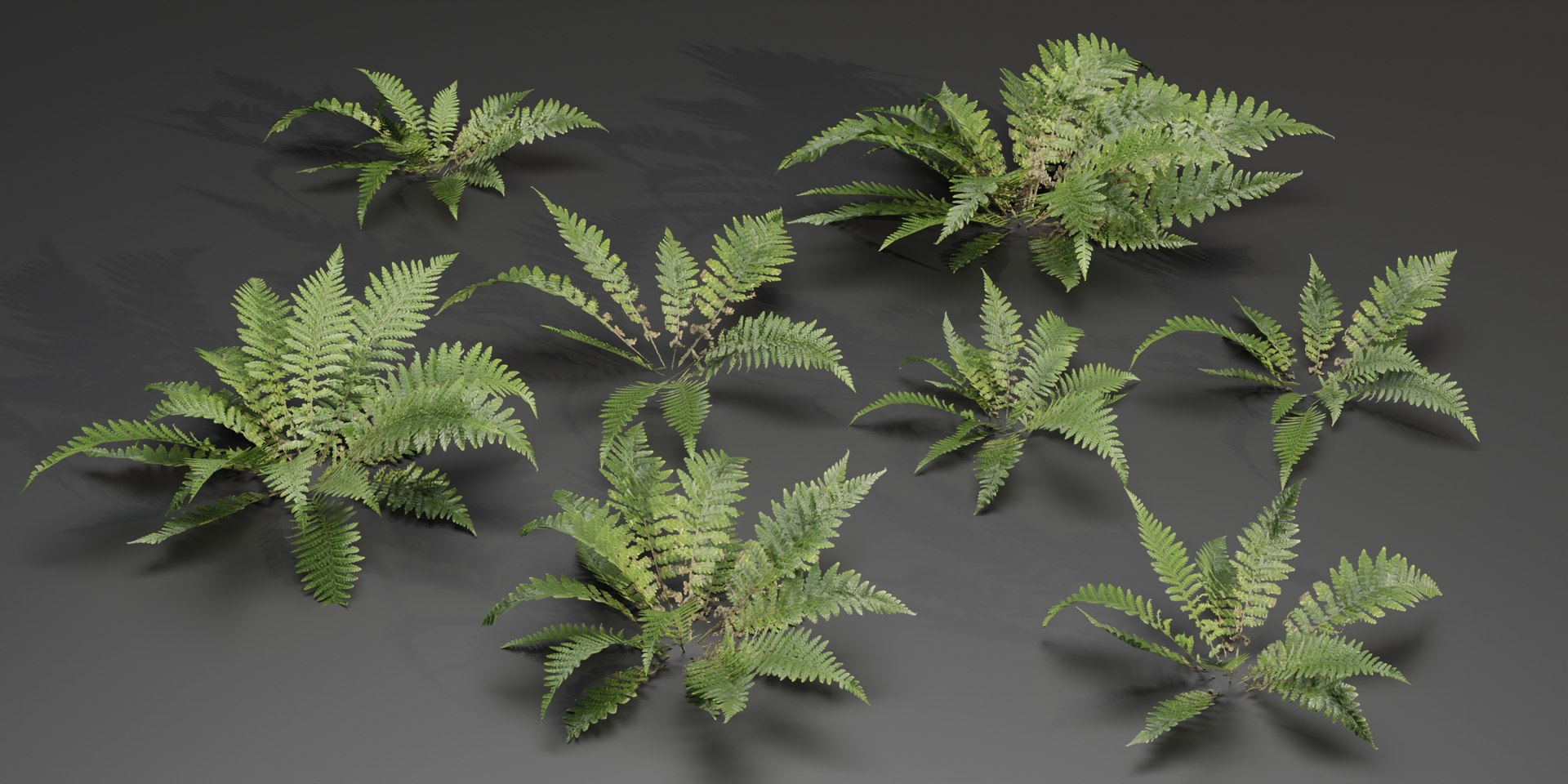 3D Model Low Poly Fern Plants Collection Vol 217-Blender-3dmodel ...