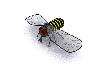 Cartoon Bee