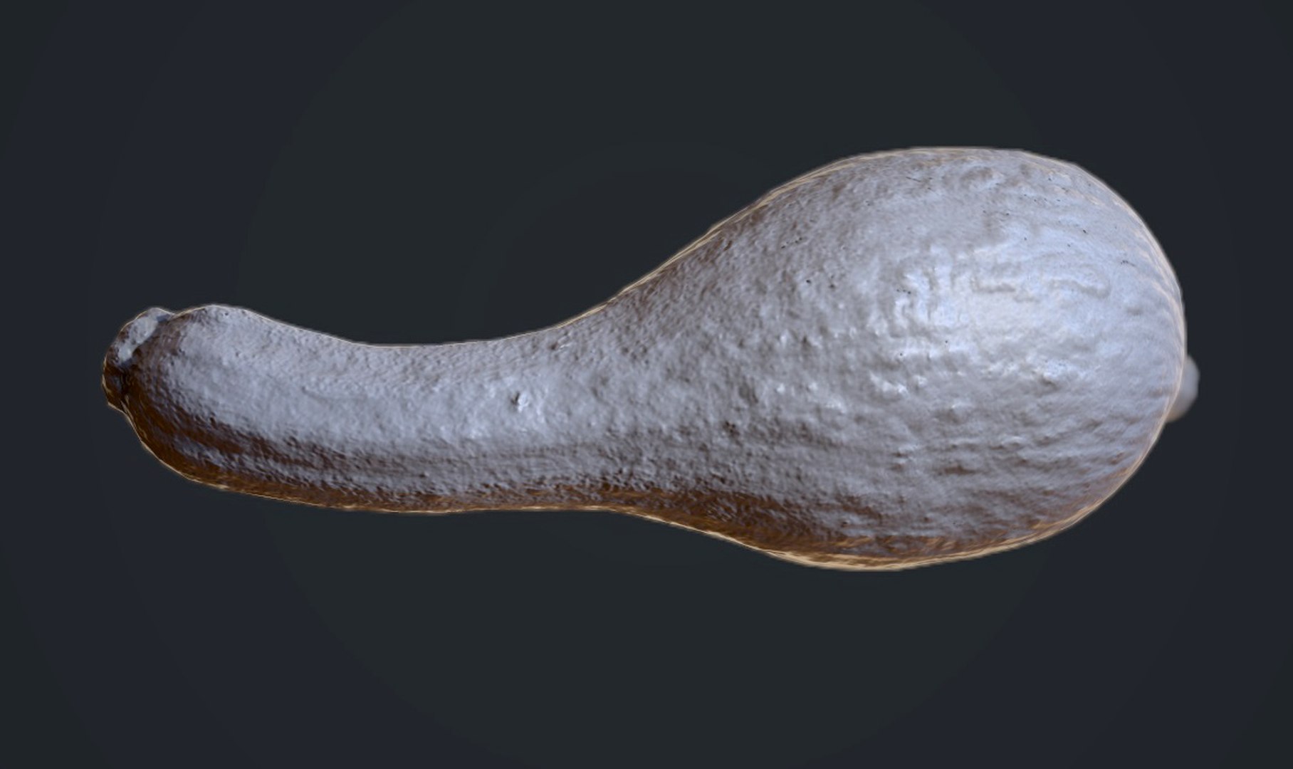 Scan Squash Obj
