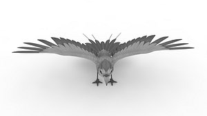3D Pigeon model