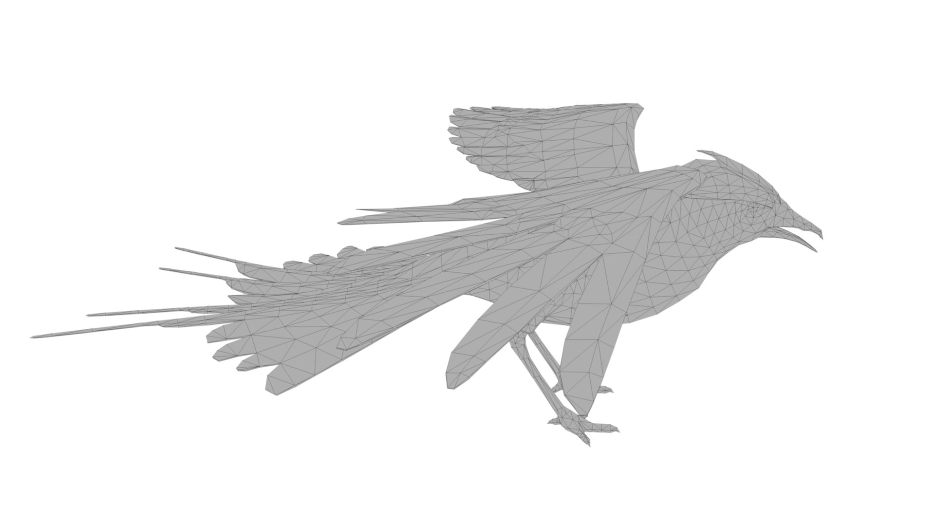 3D Pigeon Model - TurboSquid 1844466