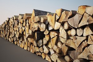 Wooden Log Pile
