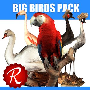 Big Birds Pack