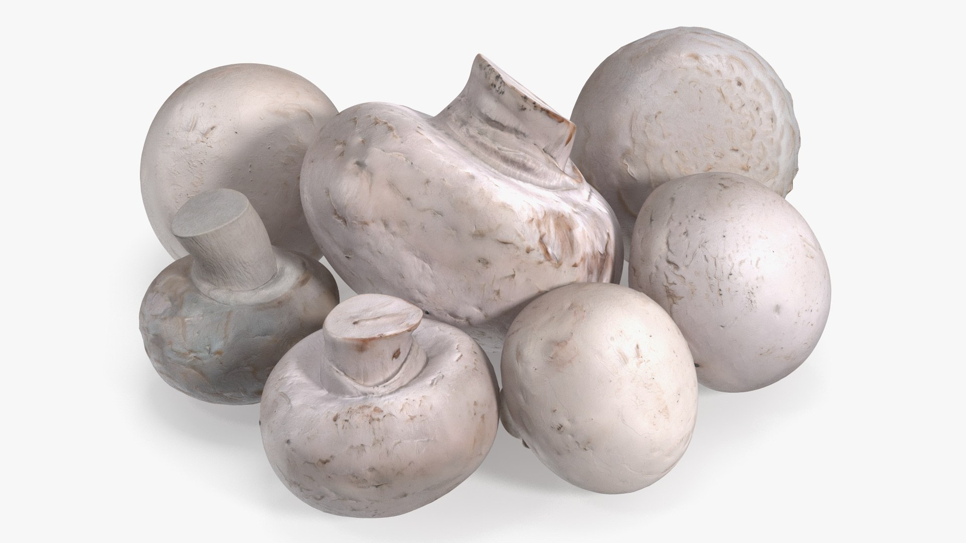 Heap of White Mushrooms 3D model preview