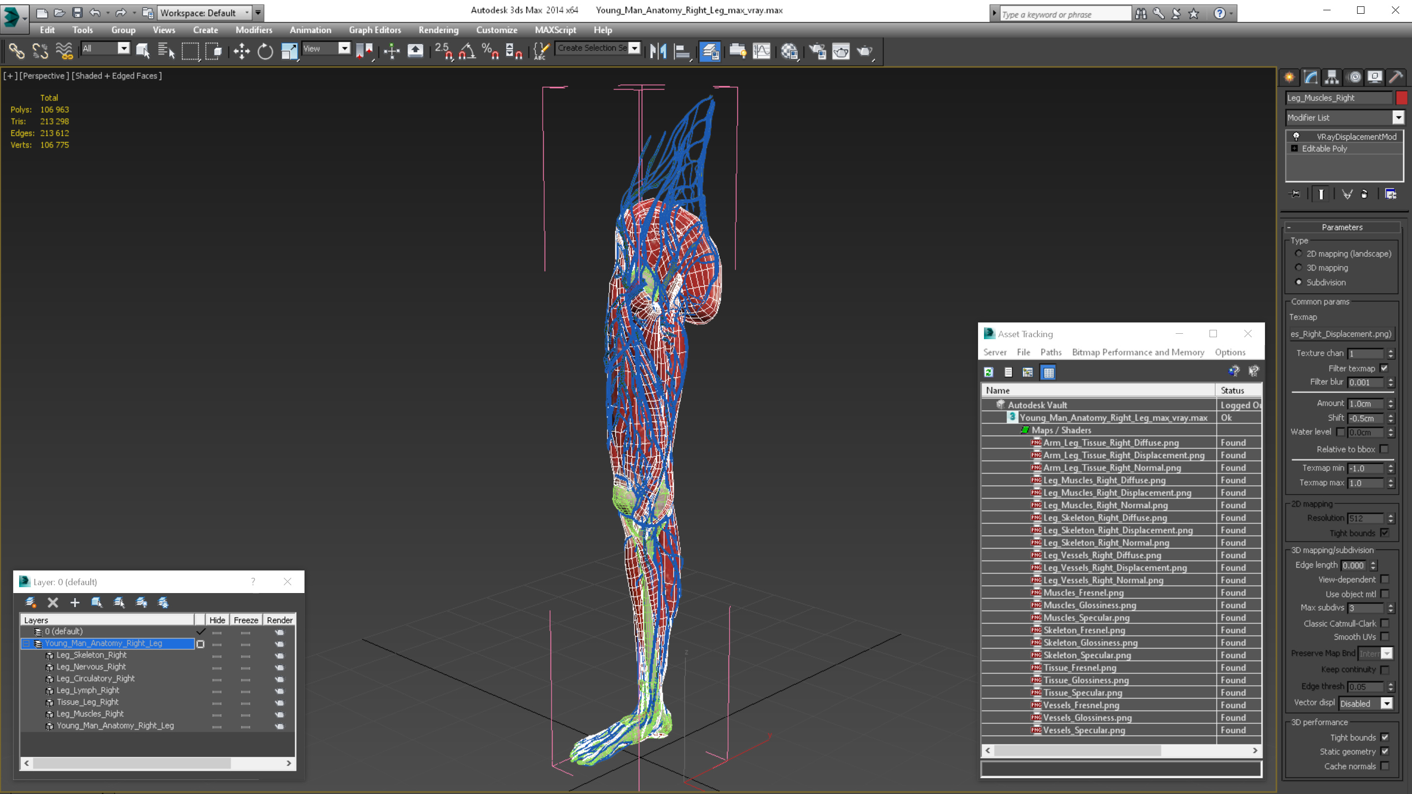 3D Young Man Anatomy Right Leg model - TurboSquid 1838624