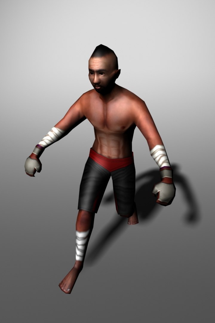 boxer animation fighting 3d 3ds