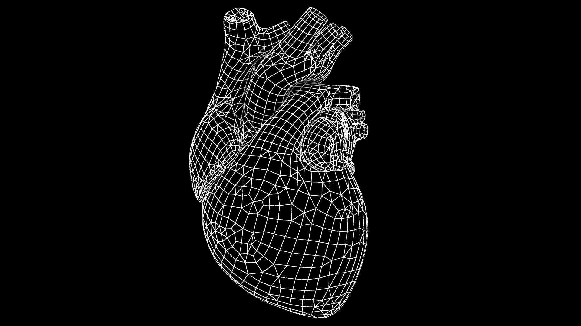3D Model Human Heart Animation Rig - TurboSquid 1434134