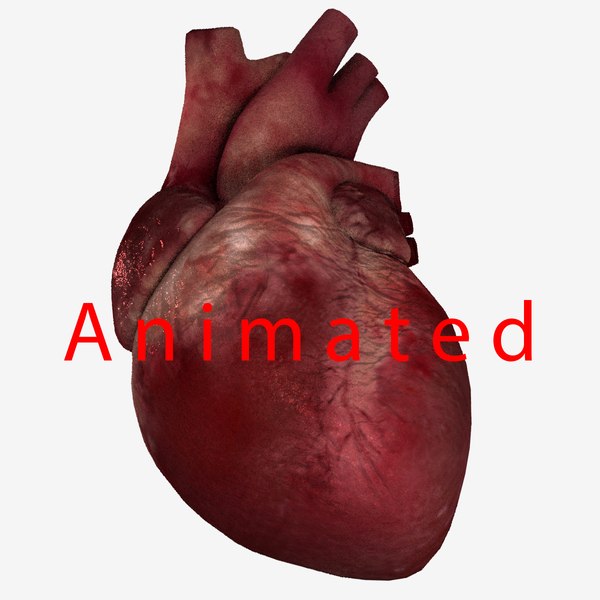 3D model human heart animation rig - TurboSquid 1434134