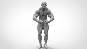 3D Bodybuilder Pose - Anatomy model