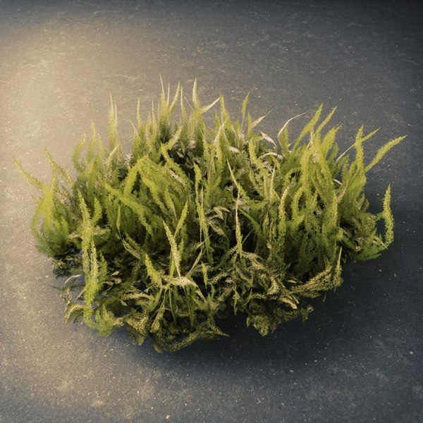 3D decorative moss - TurboSquid 1398670