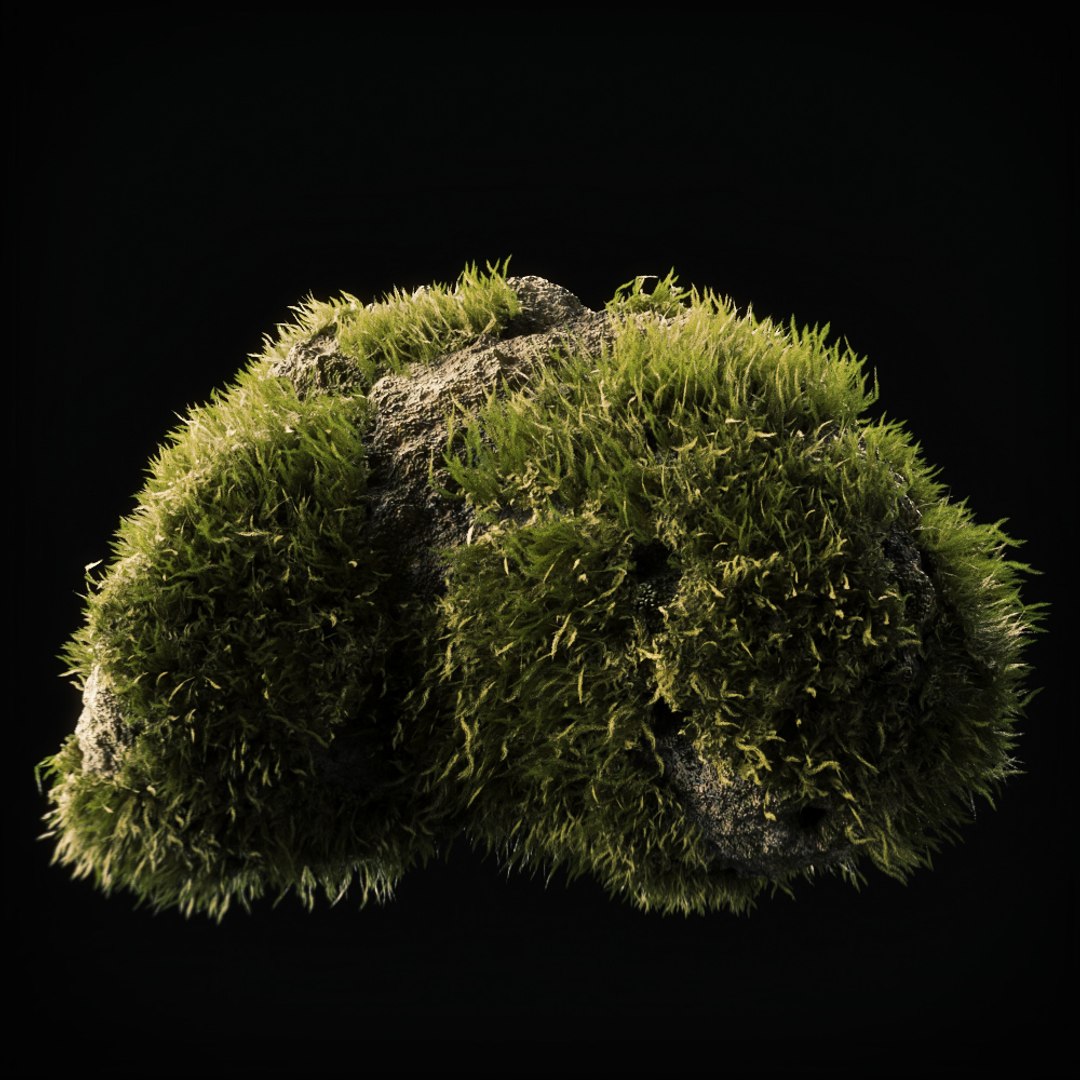 Moss 15 3D Model - TurboSquid 1535023