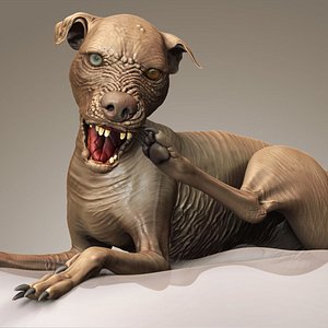 free sam world ugliest dog 3d model
