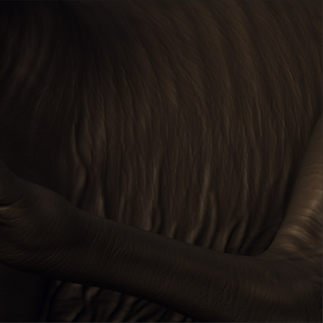 free sam world ugliest dog 3d model https://p.turbosquid.com/ts-thumb/hL/yD6ZS0/oVVX4Rg3/closeup/jpg/1332934245/1920x1080/fit_q87/8f5ae15149feb41224e88b33afe66c17c216dd35/closeup.jpg