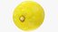 3D model Orange Mandarin Lime and Lemon Collection V1