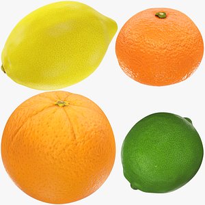 3D model Orange Mandarin Lime and Lemon Collection V1