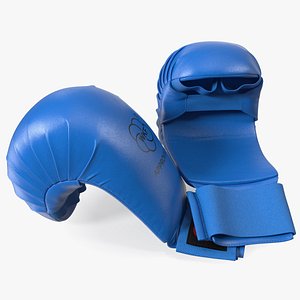 3D Fighting Gloves WKF Lying Blue model