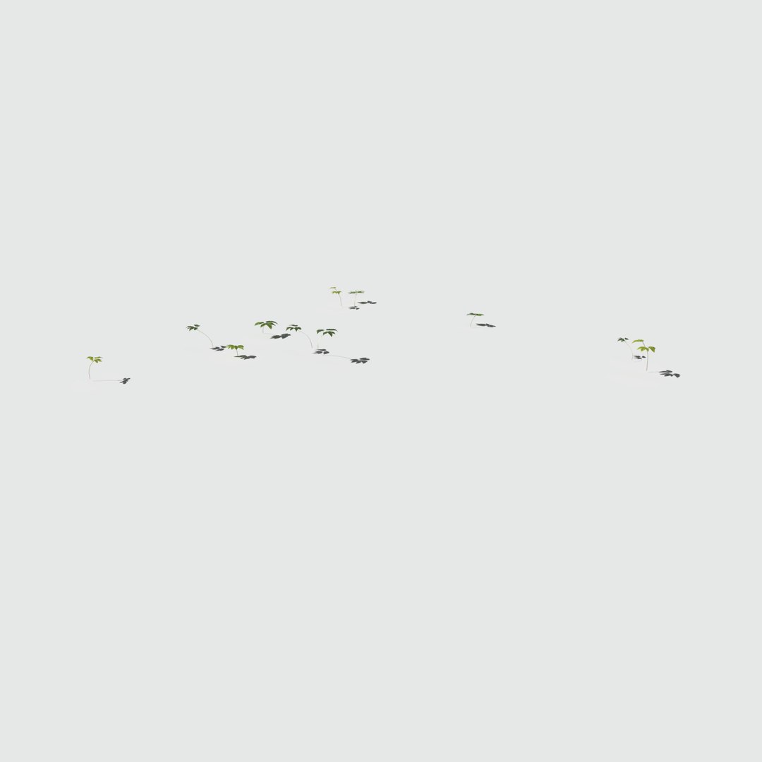 3D fig buttercup meadow patch https://p.turbosquid.com/ts-thumb/hM/MnjzWG/4IBExhA0/meadowpatch_figbuttercup_preview_18/png/1575761136/1920x1080/fit_q87/f8633a0c7d6493265efabb412c47123c5713a2ba/meadowpatch_figbuttercup_preview_18.jpg