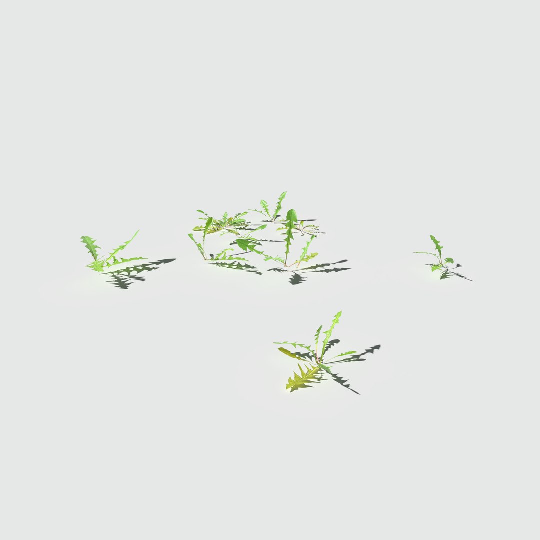 3D fig buttercup meadow patch https://p.turbosquid.com/ts-thumb/hM/MnjzWG/DSNldbyh/meadowpatch_figbuttercup_preview_10/png/1575760912/1920x1080/fit_q87/f2cb373d81e6d77a6364e27dfe4c496bbe8185c0/meadowpatch_figbuttercup_preview_10.jpg