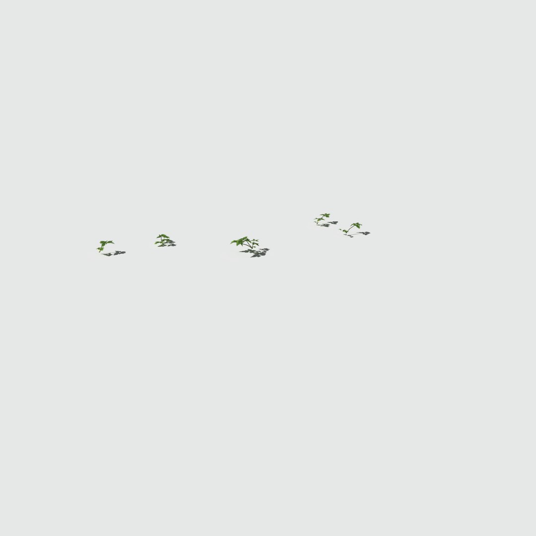 3D fig buttercup meadow patch https://p.turbosquid.com/ts-thumb/hM/MnjzWG/aWnpYx7x/meadowpatch_figbuttercup_preview_16/png/1575761102/1920x1080/fit_q87/a0a63757dcc7607b9855a5bd5afa2672c999b7cc/meadowpatch_figbuttercup_preview_16.jpg