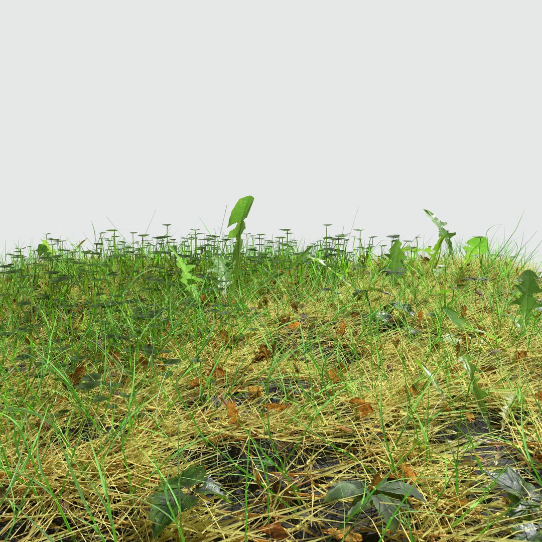 3D fig buttercup meadow patch https://p.turbosquid.com/ts-thumb/hM/MnjzWG/bdcesAW9/meadowpatch_figbuttercup_preview_04/png/1575760641/1920x1080/fit_q87/ea055157725e29603ff1db61ada8d38635c53c57/meadowpatch_figbuttercup_preview_04.jpg