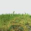 Fig Buttercup Meadow Patch
