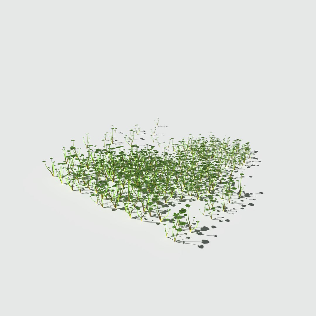 3D fig buttercup meadow patch https://p.turbosquid.com/ts-thumb/hM/MnjzWG/eGdslhc5/meadowpatch_figbuttercup_preview_12/png/1575760997/1920x1080/fit_q87/1e764d62ca906c0b07bfb7557bef403c672ff6a5/meadowpatch_figbuttercup_preview_12.jpg
