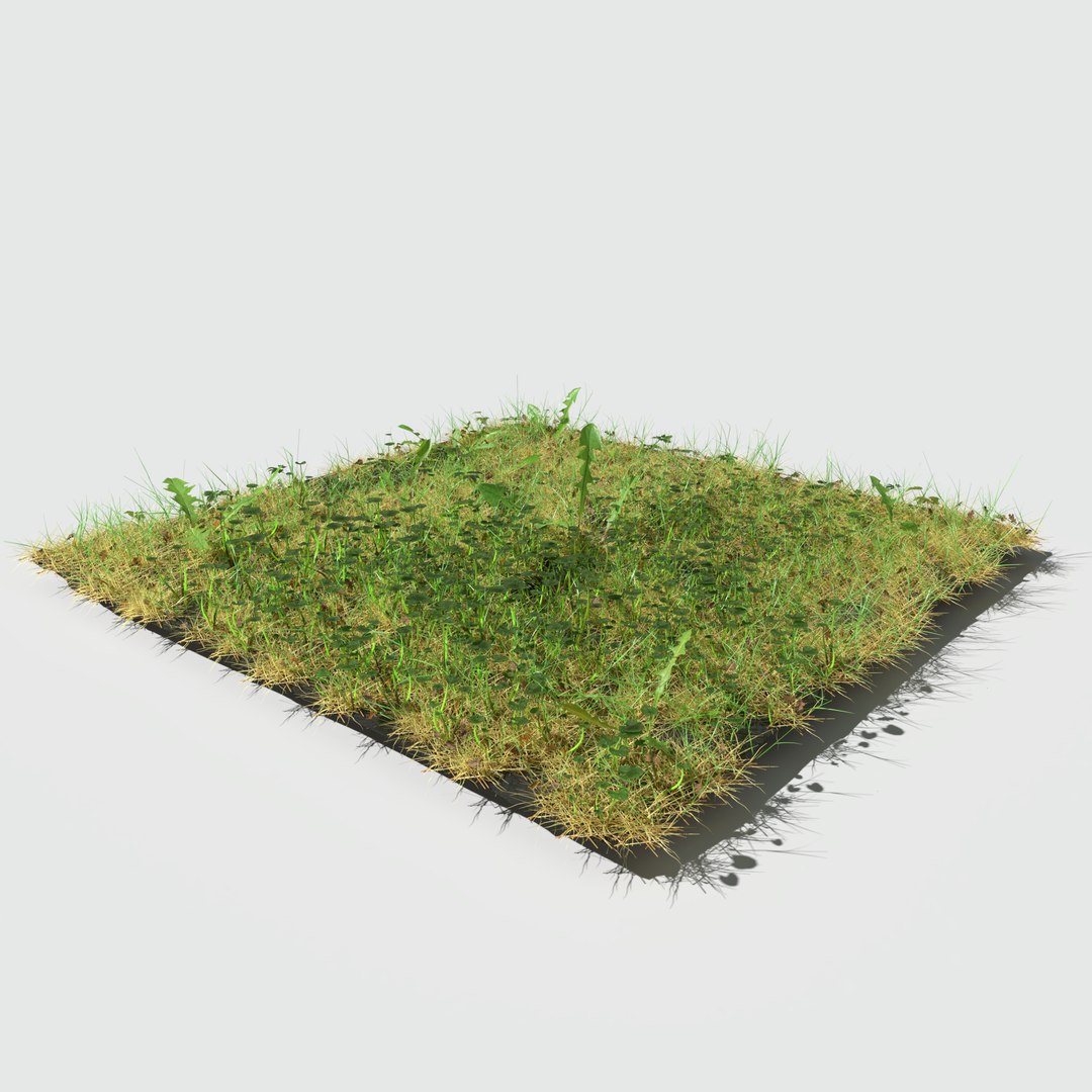 3D fig buttercup meadow patch https://p.turbosquid.com/ts-thumb/hM/MnjzWG/xzUuauxl/meadowpatch_figbuttercup_preview_05/png/1575760692/1920x1080/fit_q87/eabb44539f665dfac055d50f302f81d51f923571/meadowpatch_figbuttercup_preview_05.jpg