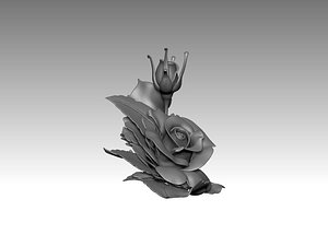 Flowers Roses 3D