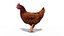 Poulet