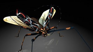 cerambycidaeinsect 3D model