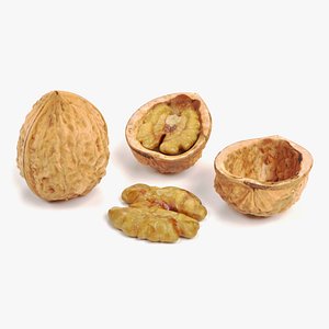 walnut pbr model
