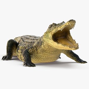 3D crocodile eating animal rigged