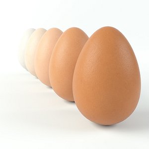 realistic egg 4k pbr 3D model